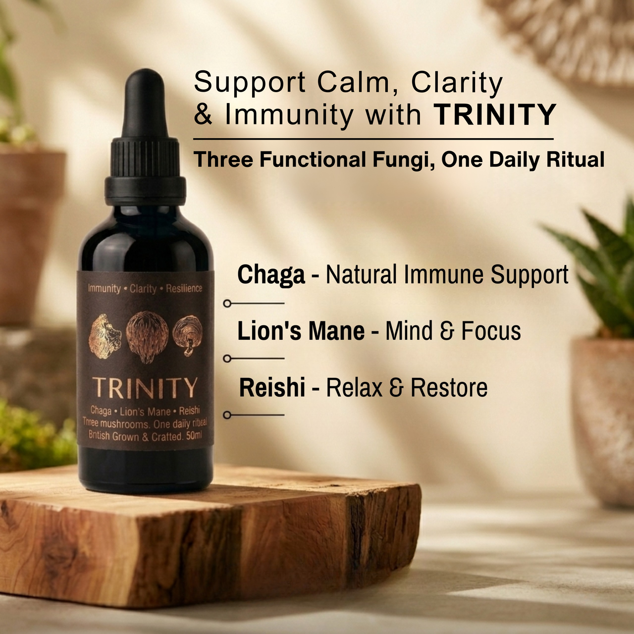 TRINITY Mushroom Extract Tincture (50ml)