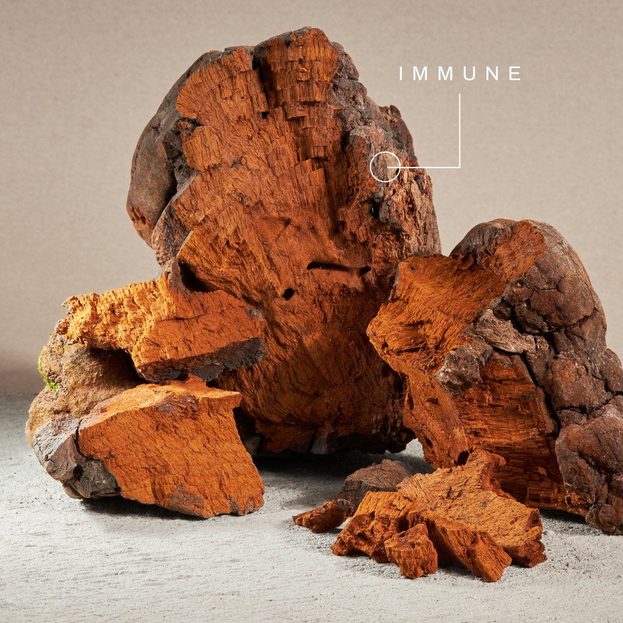 Chaga Mushroom Extract Tincture