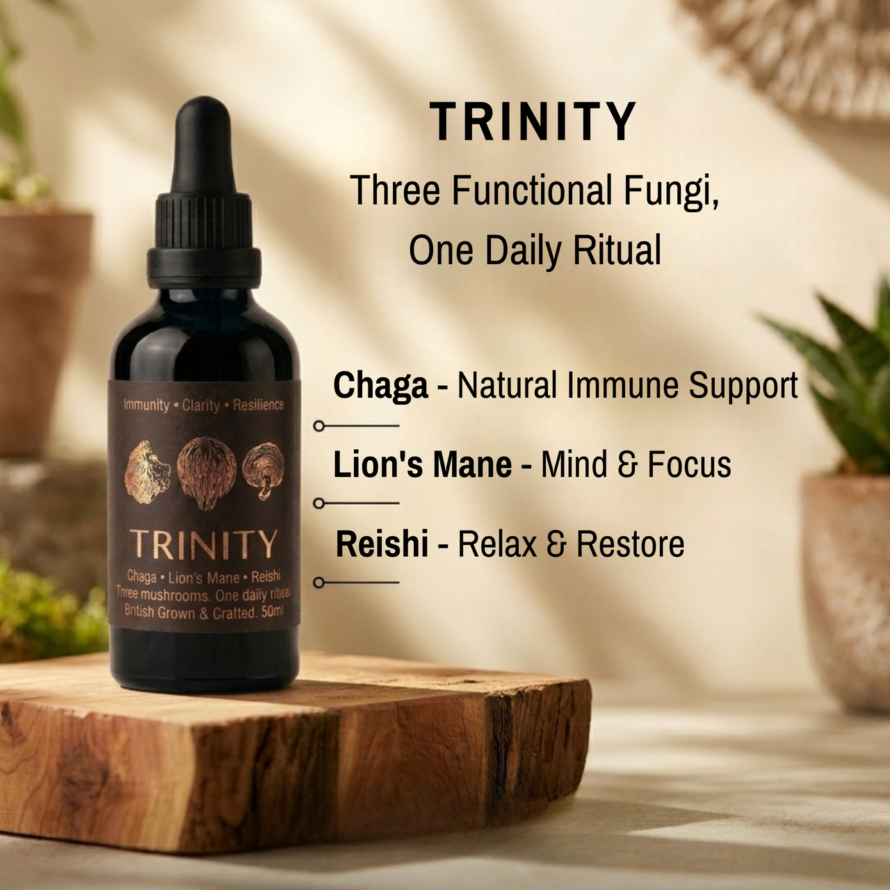 TRINITY Mushroom Extract Tincture (50ml)