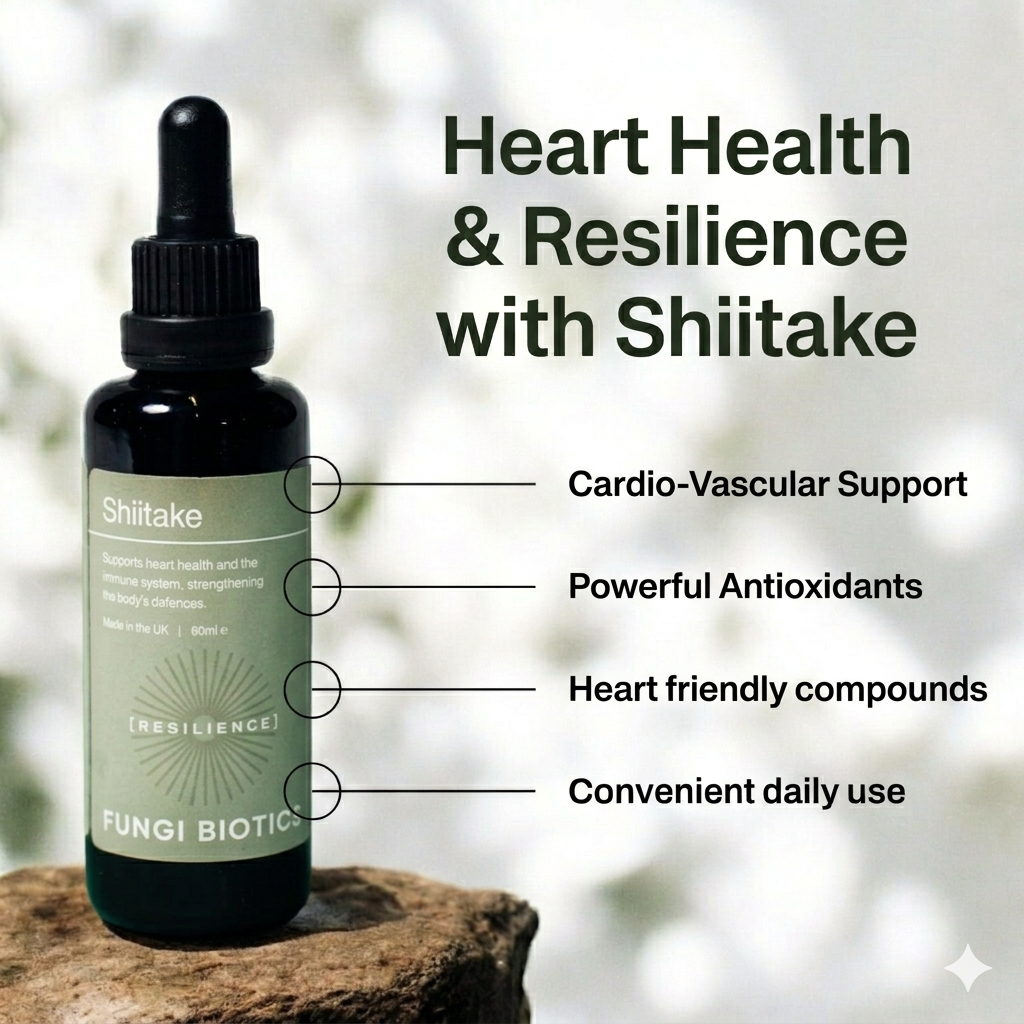 Shiitake Mushroom Extract Tincture (50ml)