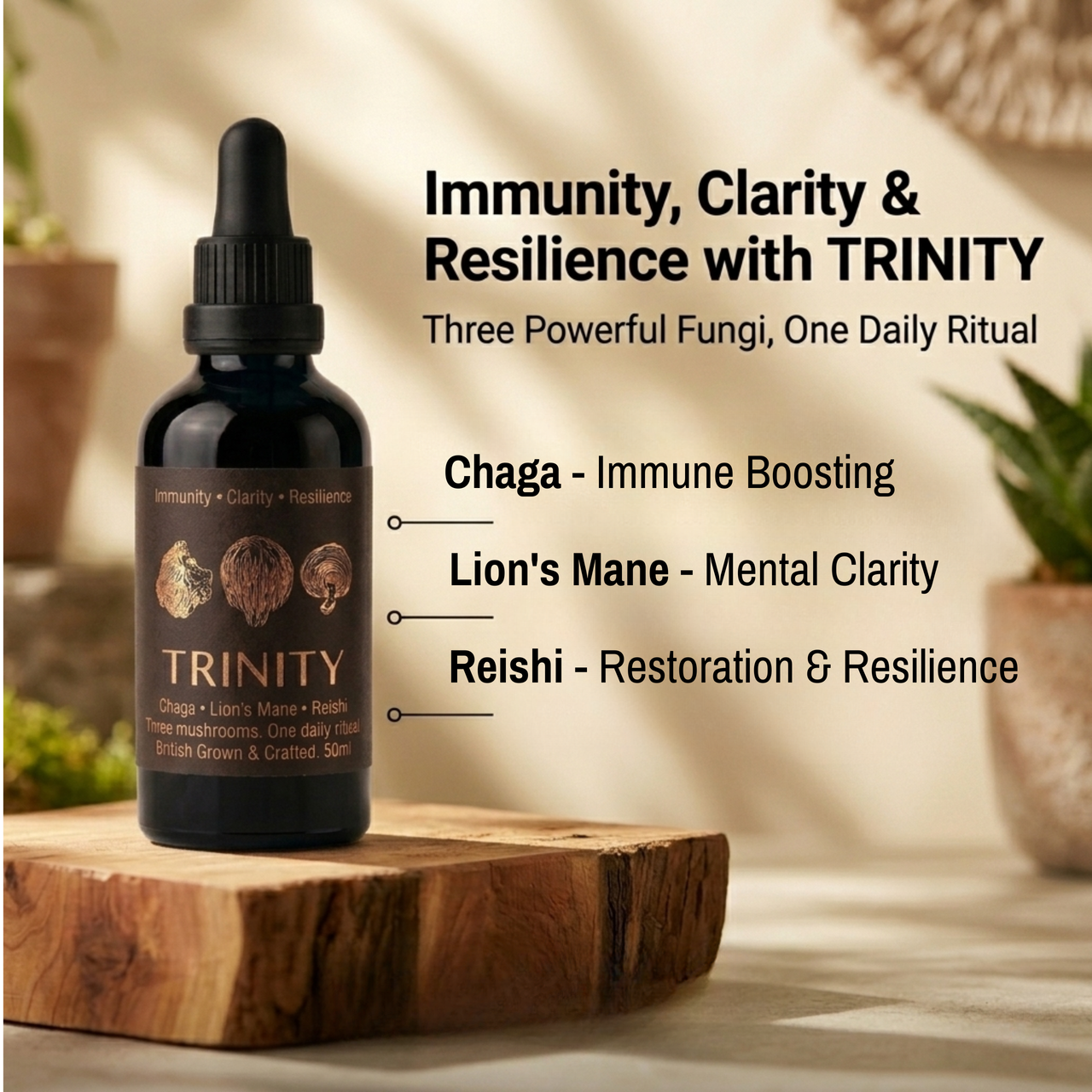 TRINITY Mushroom Extract Tincture (50ml)