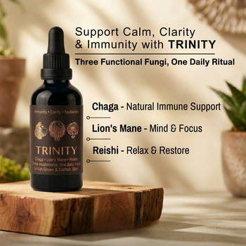 TRINITY Mushroom Extract Tincture (50ml)